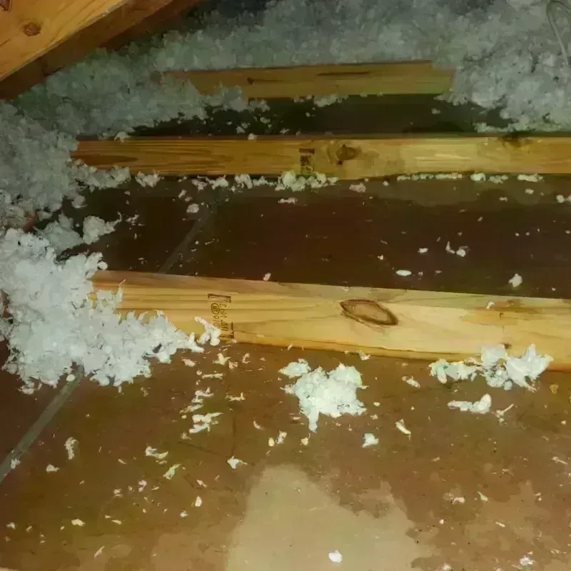 Attic Water Damage in Electra, TX