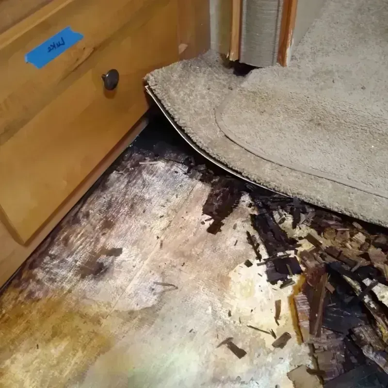 Wood Floor Water Damage in Electra, TX